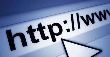 金华网络公司 网站建设与全网营销系统技术推广指南