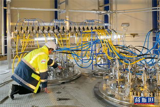 东西方牛仔技艺交锋 全球视野下的技术传承与创新推广